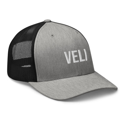 Meemirotta Veli lippis harmaalla ja mustalla värillä, jossa on suuri VELI-teksti.